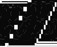 Электрическая варочная поверхность Oasis P-SBS