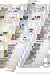 Холодильник DON R-291S (Слоновая кость)